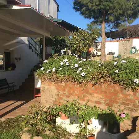 Apartmán Melike Apart *